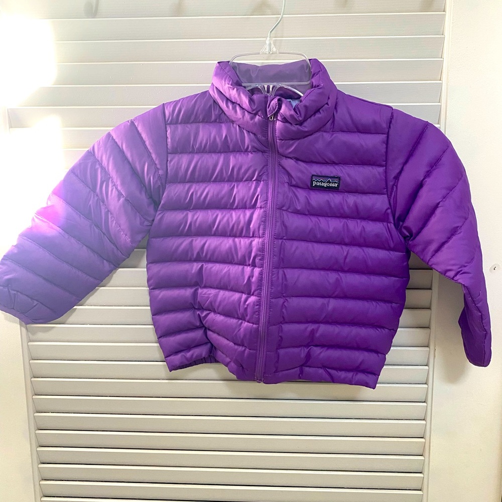 Patagonia sweater jacket